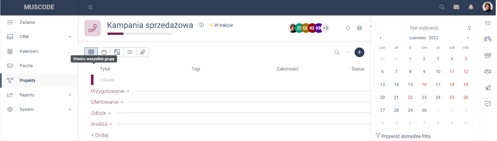 Zrzut ekranu przedstawiający opcję rozwijania wszystkich grup zadań. 