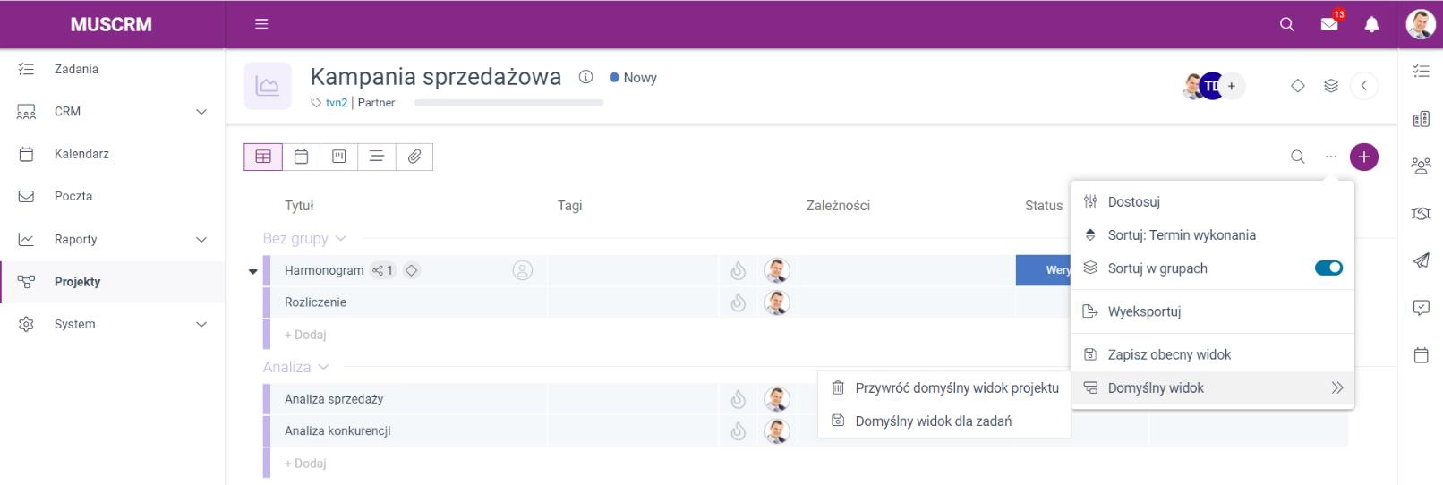 Zrzut ekranu przedstawiający opcje zarządzania widokami projektu, w tym 'Zapisz obecny widok' i 'Domyślny widok'. 